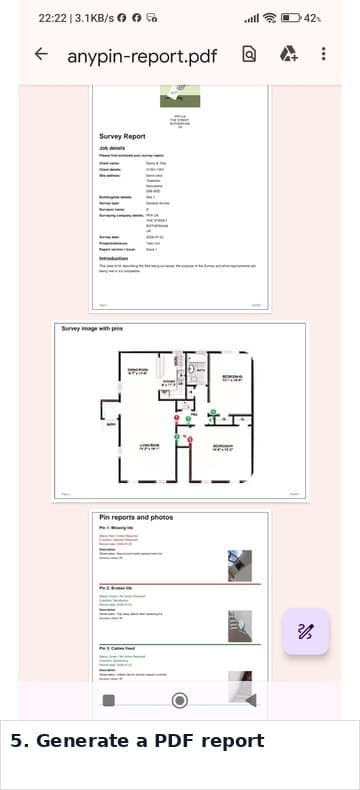 AnyPin PDF report displayed in a mobile PDF viewer.