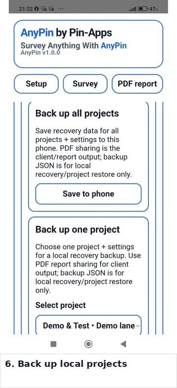 AnyPin local project backup controls.